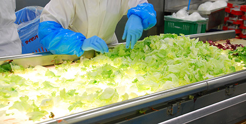 入念な品質管理