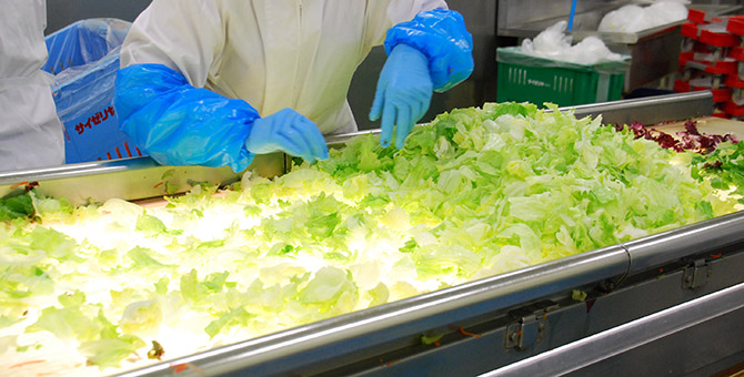 入念な品質管理